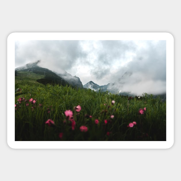 Misty Scenery in Slovakian Tatra Mountains Sticker by Danny Wanders